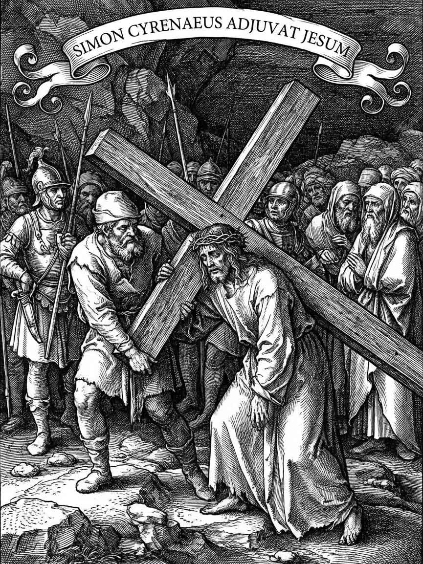 Station 10 - Series 2026